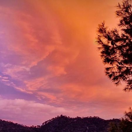 Apartamento En La Montana, Serra Dış mekan fotoğraf